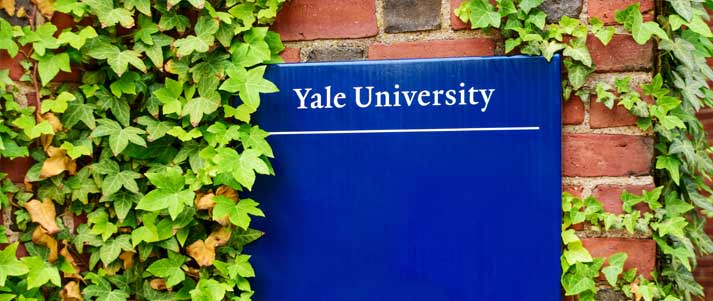yale university